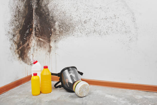 Crawl Space Mold Removal in Derby, KS