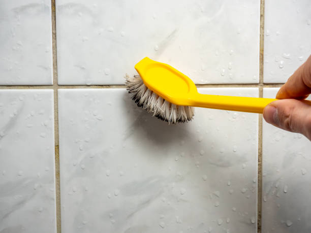 Best Certified Mold Removal  in Derby, KS