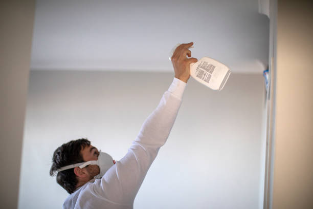 Best Crawl Space Mold Removal  in Derby, KS