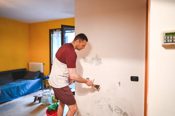 Best Mold Remediation Experts  in Derby, KS